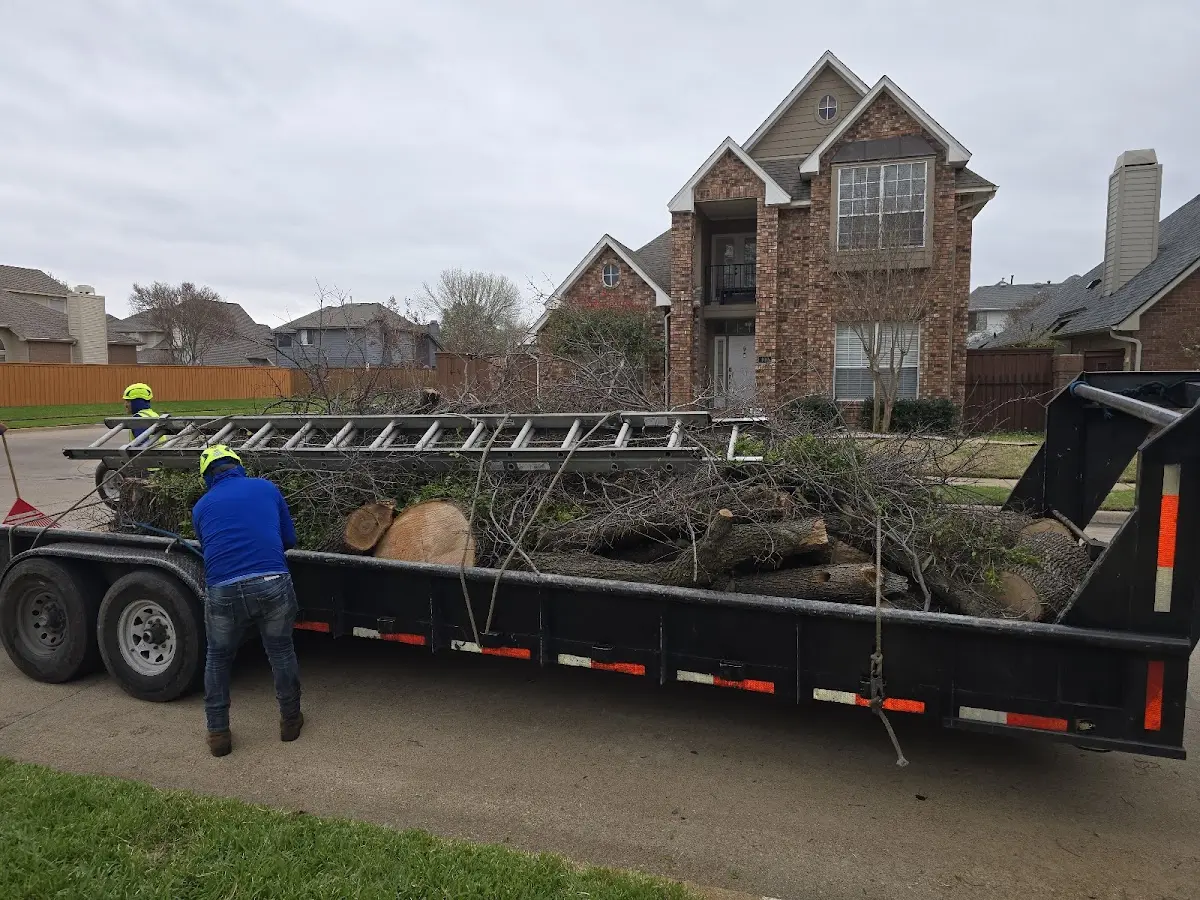 Expert Tree Removal with proper safety equipment in New Middletown